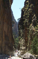 Samaria Gorge, Hotels, Rooms for rent, Tourist residences, Holiday Villas for Rent in Omalos, Chania, Crete, Greece